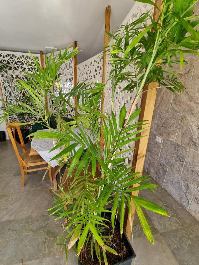 Diamond Luxury Apartment - Haifa Luaran gambar